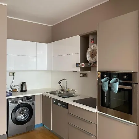 Apartment Deluxe 11 Unit For Rent In Centre Of *