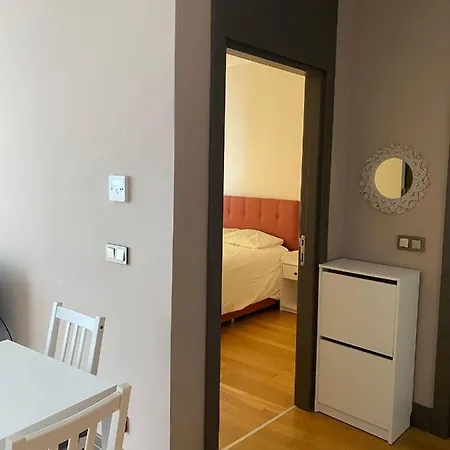 Deluxe 11 Unit For Rent In Centre Of Apartment Istanbul